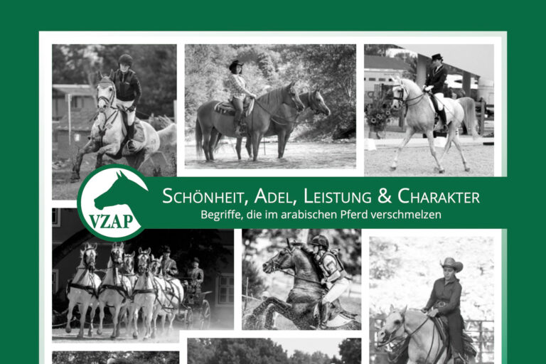 Abildung der Startseite der aktuellen VZAP-Broschüre